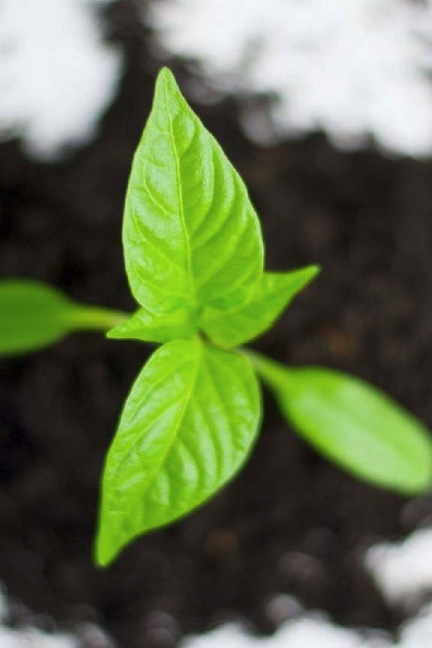 Epidotisis_eteria_banner_3