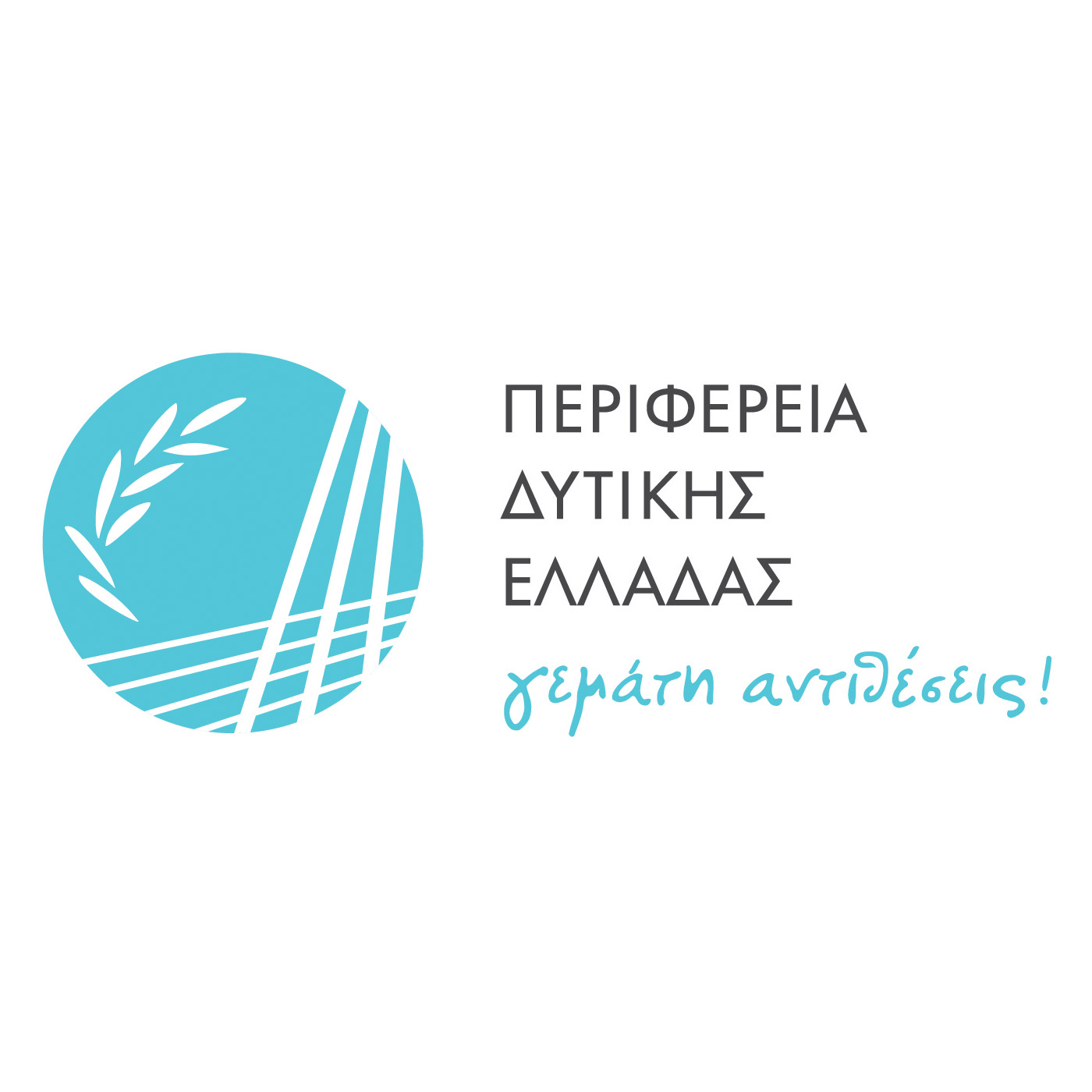 pde_left_gr